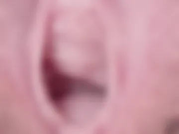 orchidekitty photo 2