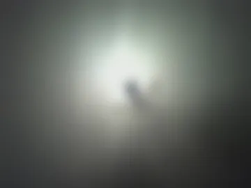 originalboy77 live webcam preview