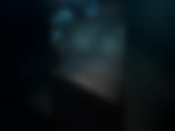 owlkaiser live webcam preview