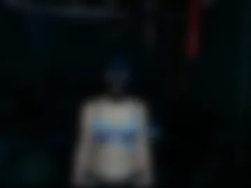 owner_and_asset live webcam preview