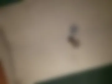 pablo6234516161 live webcam preview