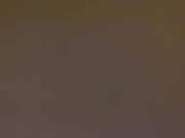 palmii98 live webcam preview