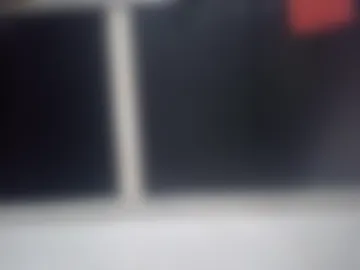 palomo_mono live webcam preview