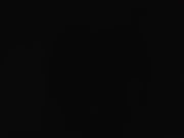 palpost live webcam preview