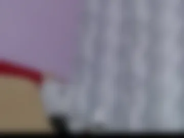 pam_fans webcam preview