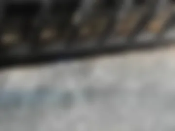 pandooora webcam preview