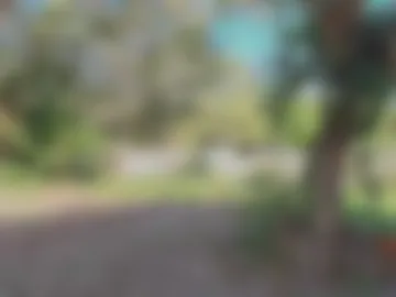 paoguerrax354 photo 2