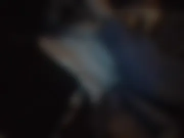 paolo_x27 live webcam preview