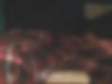 papa848411_84 photo 8