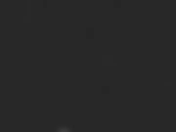 papa848411_84 photo 3