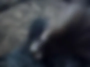 pappi_rambo live webcam preview