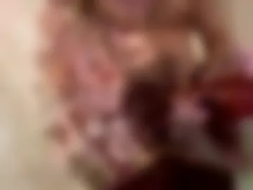 paprika2026 live webcam preview