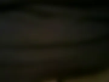 parasti2 webcam preview