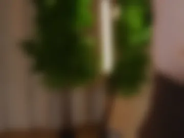 patricia_bennett webcam preview