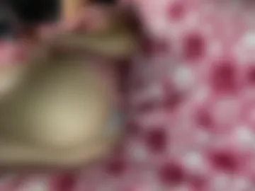 pawgboomboom photo 3