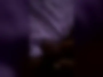 pay2playnow live webcam preview