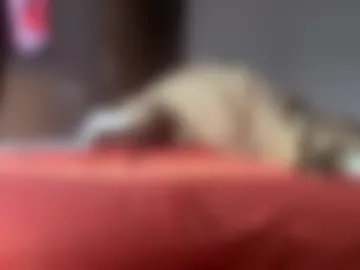 pedkelniupora live webcam preview