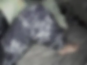perdido4_20 live webcam preview