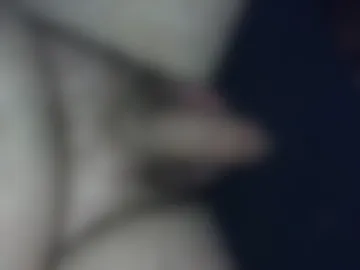pereiranaboa live webcam preview