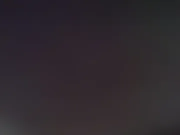 perfectper live webcam preview