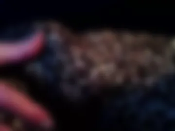 permageil_nackt_alt photo 2