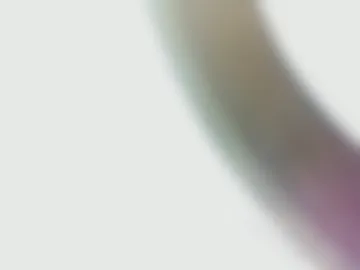 peter9124 live webcam preview