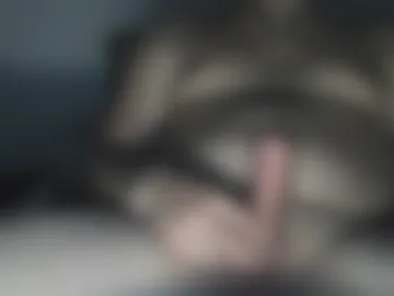 peterscherer620 webcam preview