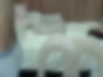 petite_dette photo 8