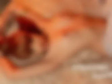 petra_butterfly photo 2