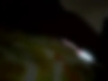 petrparkr2888 live webcam preview