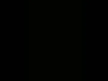 pevinu live webcam preview