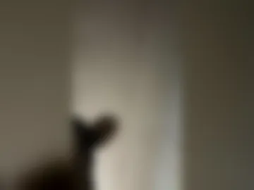 phatcock778 webcam preview