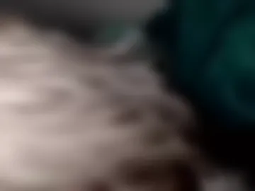 phatpcat73 webcam preview