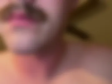 phillupdaily live webcam preview