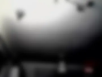 piggipro photo 2