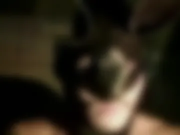 piggypiggyslz live webcam preview
