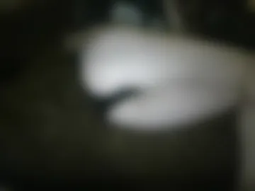 pikapiiiiii photo 2