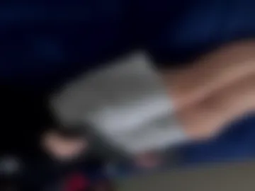 pincevince webcam preview