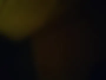 piper_in_melb live webcam preview
