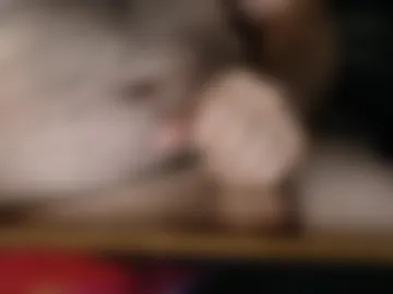 pistondickk live webcam preview