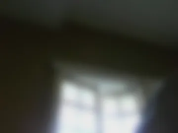 platypus1838 webcam preview