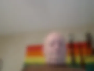 playboychas live webcam preview