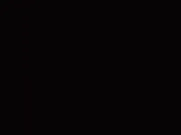 plecure live webcam preview