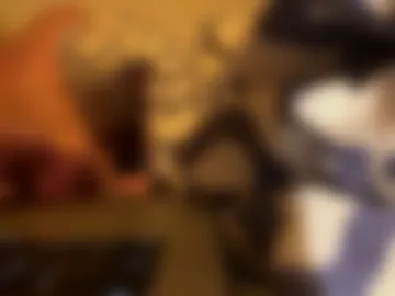 plopkoek12345 live webcam preview