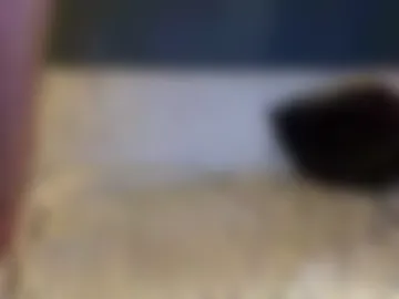 plumpcdfuckslut photo 7