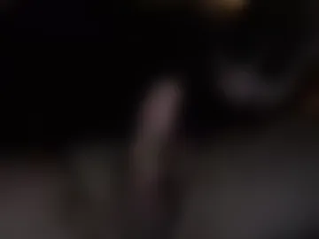 pnwbeardedguy live webcam preview