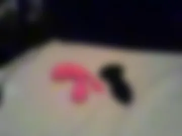 podipodo live webcam preview