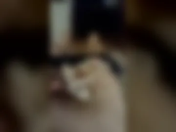 pol8724 live webcam preview
