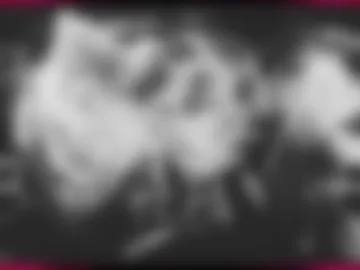 poliina webcam preview