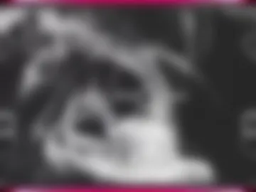 poliina webcam preview